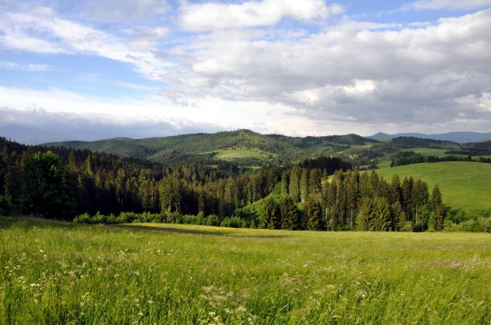 Stráža