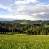 Stráža