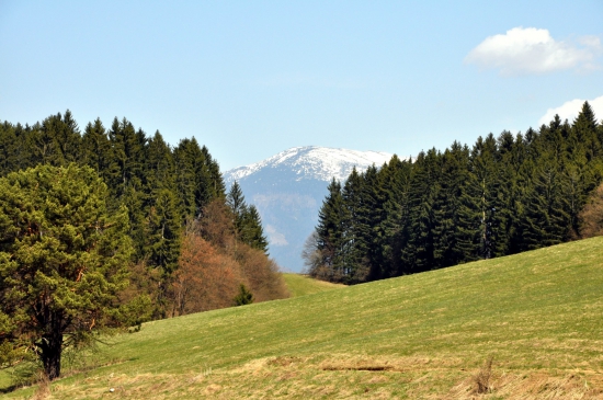 Prašivá