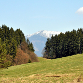 Prašivá