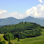 Farbište