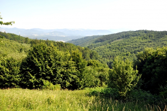 Plavno