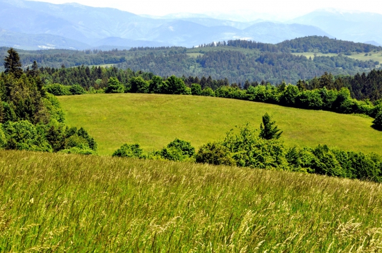 Dávidov vrch