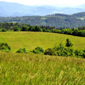 Dávidov vrch