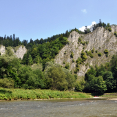 Osobitná skala