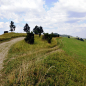 Cez Lesnické sedlo