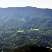 Kyslinky - Zálomská
