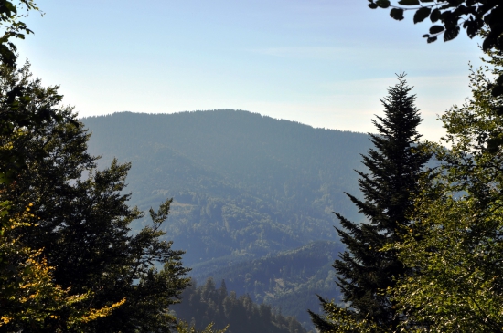 Poľana