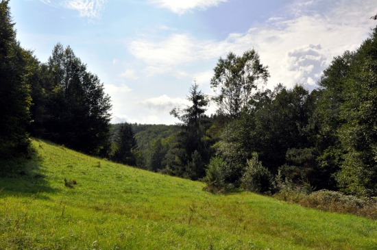 Na Sihoti