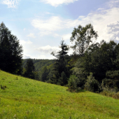 Na Sihoti