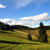 Za Lazmi