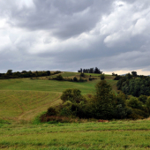 Podvečer