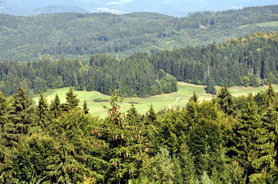 Pôlč
