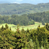 Pôlč