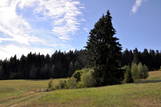 Na Lachovom Laze