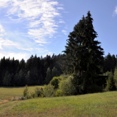Na Lachovom Laze