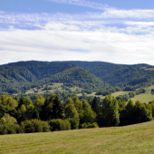 Ponická Bukovina