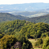 Kamienka