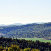 Kalinovec
