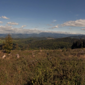 Panoráma z Plesa
