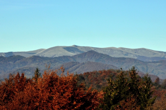 Krížna