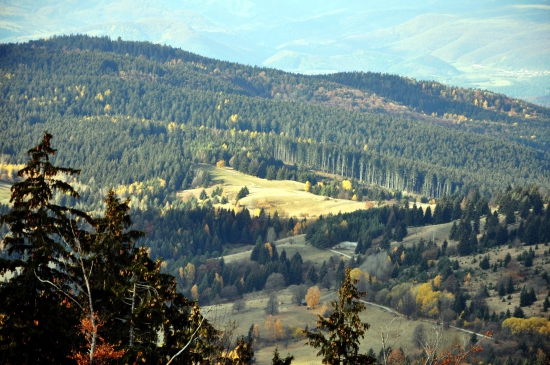 Krtiny