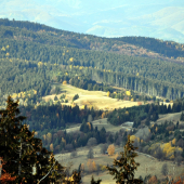 Krtiny