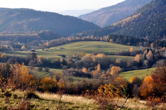 Vinkliarka