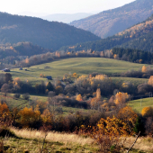 Vinkliarka