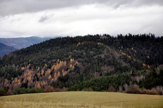 Repiská