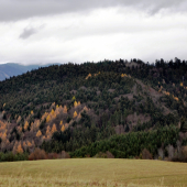 Repiská