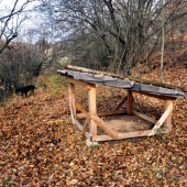 Prikrmovanie bažantov