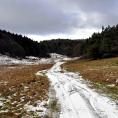 Podbane