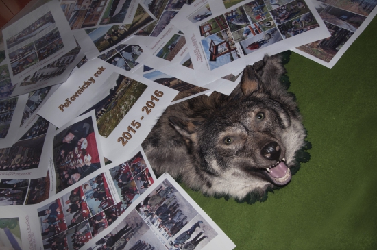 Príprava kroniky PZ -  2015