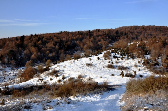 Cez Drienok