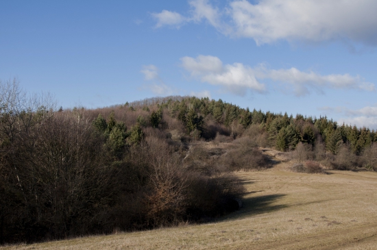 Vašarnica