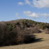 Vašarnica