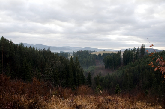 Na vrchu Plavna