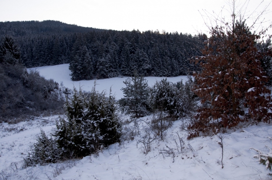 Dolná Hôrka
