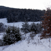 Dolná Hôrka