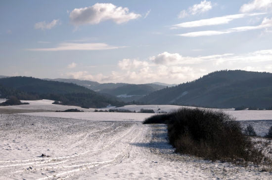 V Kalinovci