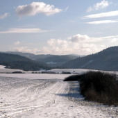 V Kalinovci
