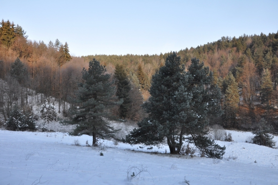 Predbane