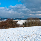 Kopanice