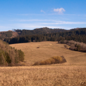 Cez Petríčku