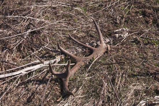 Aj mne sa pritrafil...