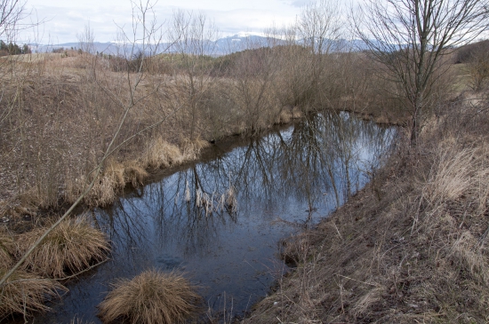 Raj pre kačice