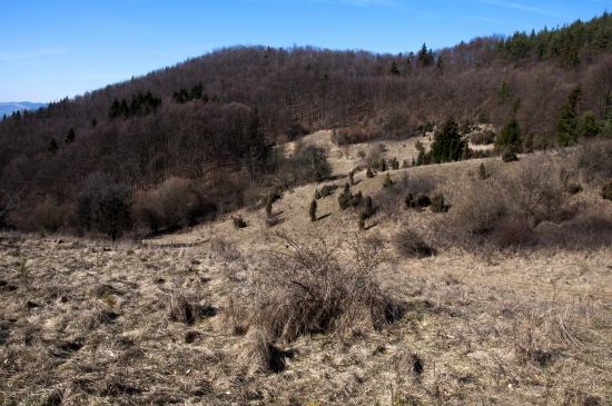 Horné Tebešovo