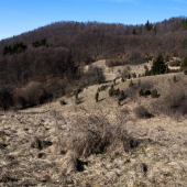 Horné Tebešovo