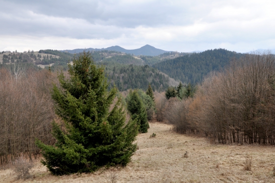 Hranicou revíru